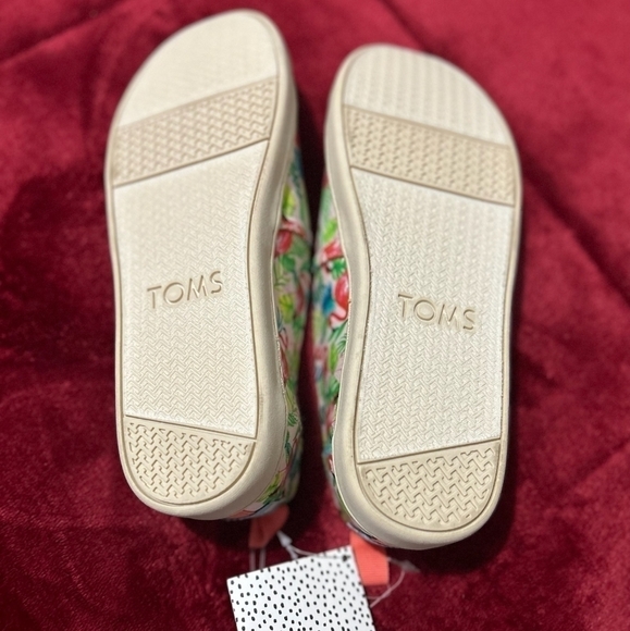 LIMITED Edition Pink Flamingo Toms Y5 - Picture 6 of 7